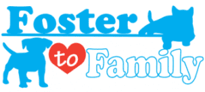 foster to family logo