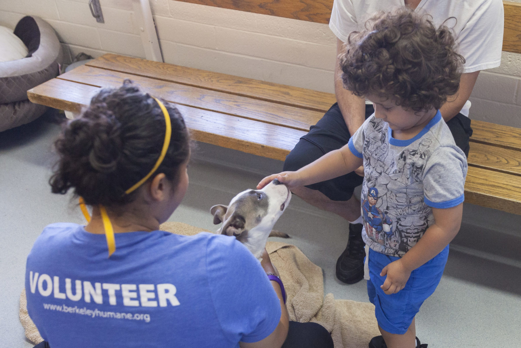 Home : Berkeley Humane