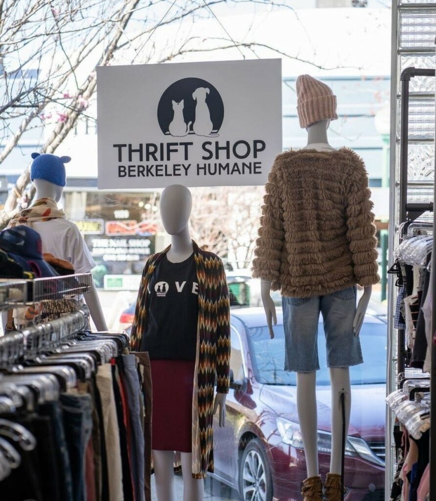 Thrift Shop