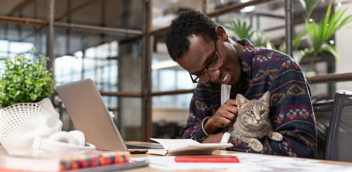 Silver tabby sits in the lap of a man who is at a desk with a laptop. Donate cryptocurrencies to save lives