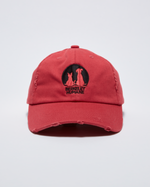 Berkeley Humane Baseball Cap (Raspberry)