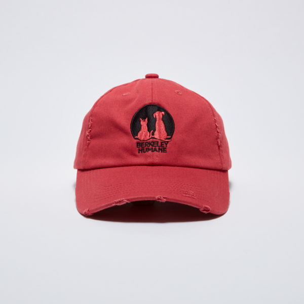 Berkeley Humane Baseball Cap (Raspberry)