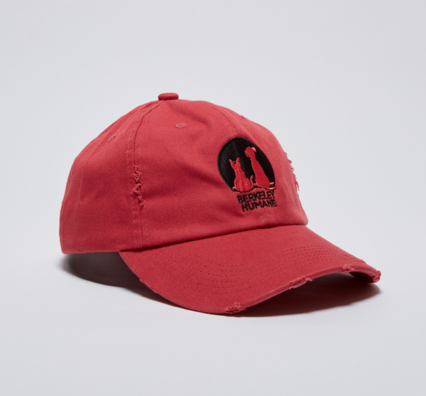 Berkeley Humane Baseball Cap (Raspberry) - Image 3