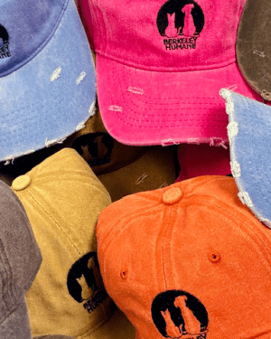 Berkeley Humane Retro Style Baseball Cap