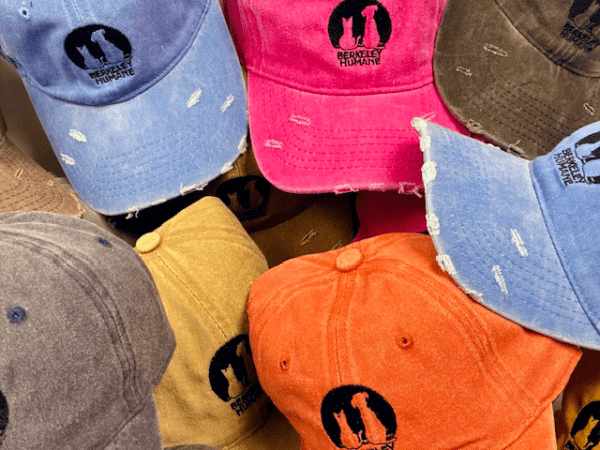 Berkeley Humane Retro Style Baseball Cap