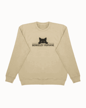 Peekaboo Kitten Sweatshirt