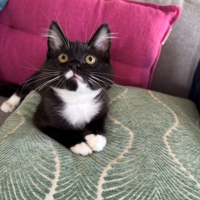 0064E01D-2723-4A0F-B332-08F56B99EECE