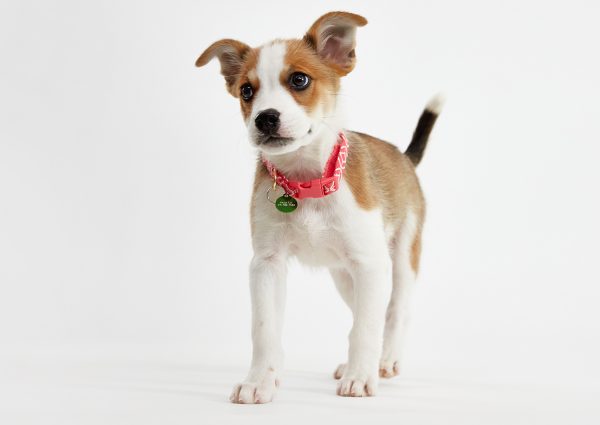 03_08_BH_Akahi and Alani_0140