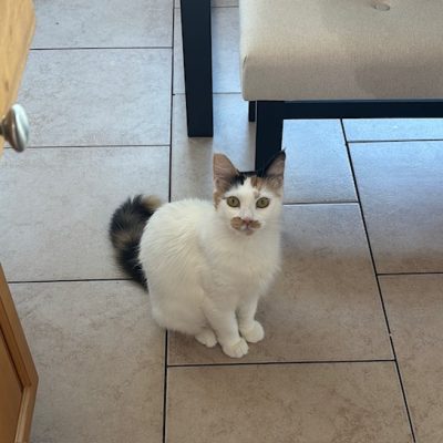 1B62980E-E8D0-45A1-9205-3DAF46EE6669