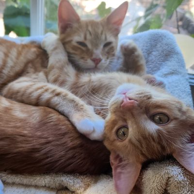 2 cuties cropped