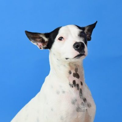 2022-08-09 Kimo 3