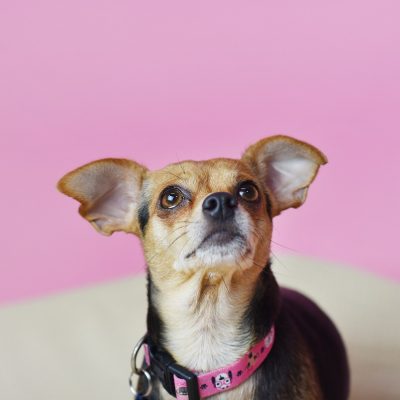 2022-09-20 Gigi 3