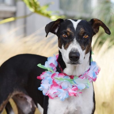 2022-10-6-Leilani-4-e1665161950120