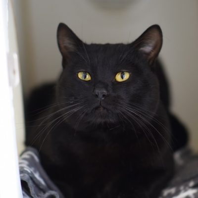 2023-02-07 Winston 4