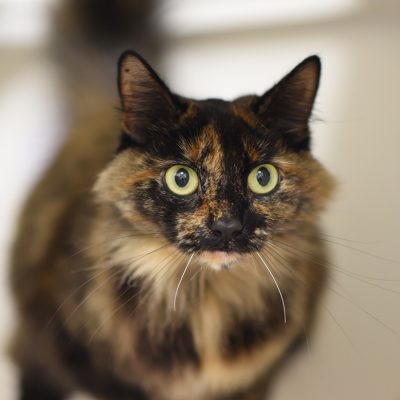 2023-03-21 Keira 1