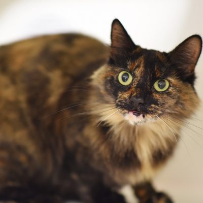 2023-03-21 Keira 2
