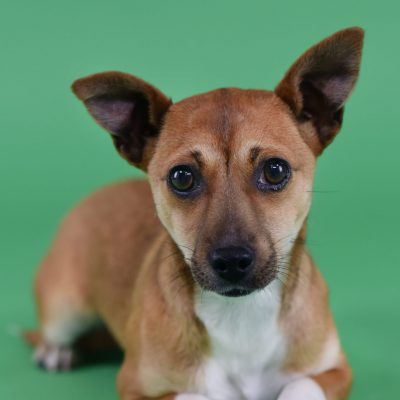 2023-03-21 Tinkerbell 2