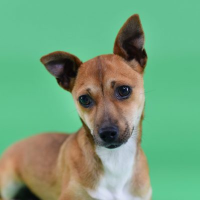 2023-03-21 Tinkerbell 3