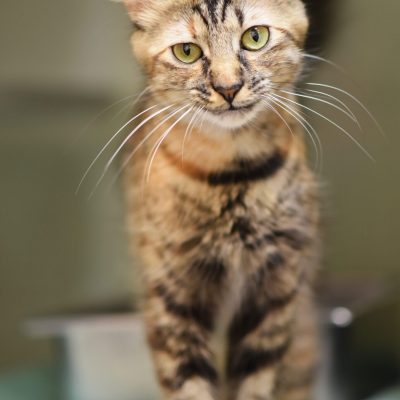 2023-04-04 Bobbie 4