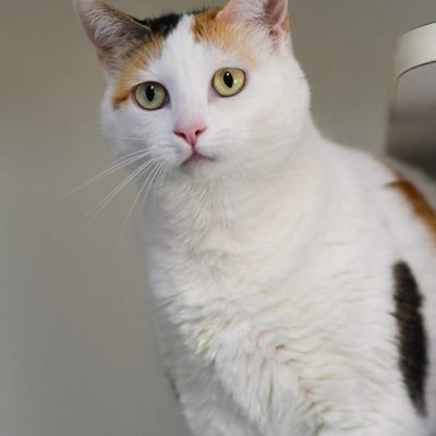 2023-04-04 Kiki 2