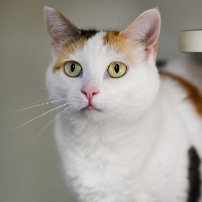 2023-04-04 Kiki 3