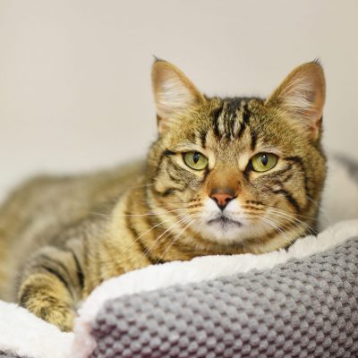 2023-04-04 Loki 2