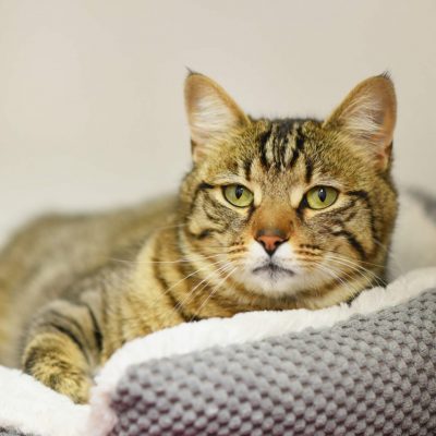 2023-04-04 Loki 2