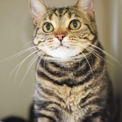 2023-04-04 Moxie 3