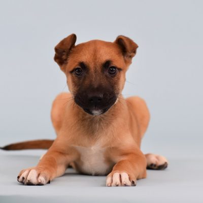 2023-04-18 Cashew 3