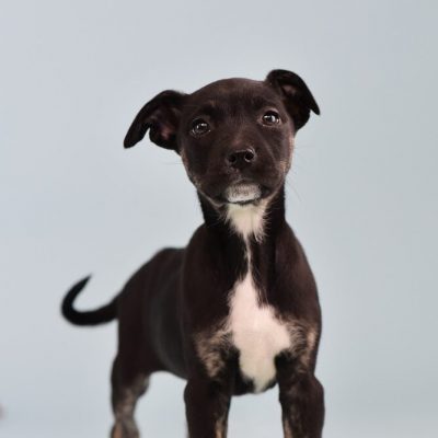2023-04-18 Mocha 1