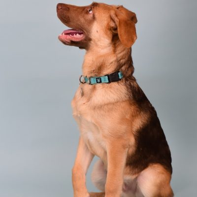 2023-05-30 Tawny 6
