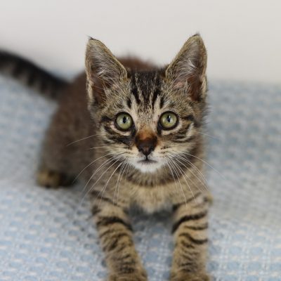 2023-07-25 Wiley 2