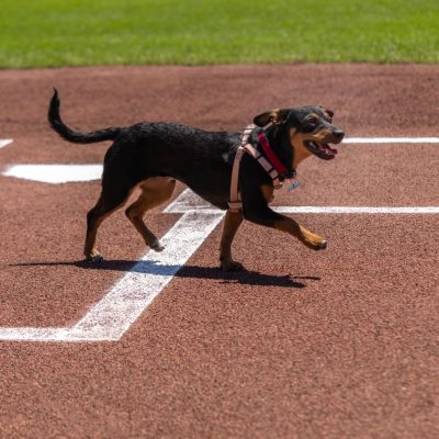 2025-7-10-Giants-NBC-Lana-10