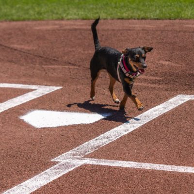 2025-7-10-Giants-NBC-Lana-12