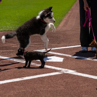 2025-7-10-Giants-NBC-Lana-18