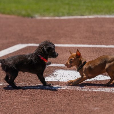2025-7-10-Giants-NBC-Lana-25 (1)
