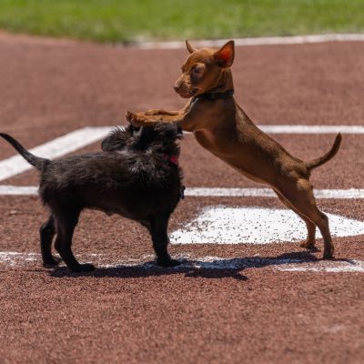 2025-7-10-Giants-NBC-Lana-26