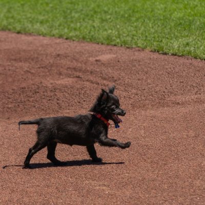 2025-7-10-Giants-NBC-Lana-31