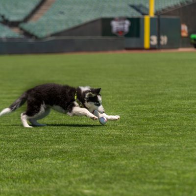 2025-7-10-Giants-NBC-Lana-47