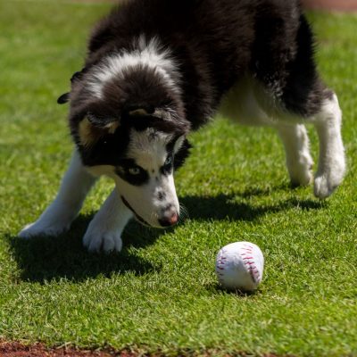 2025-7-10-Giants-NBC-Lana-5