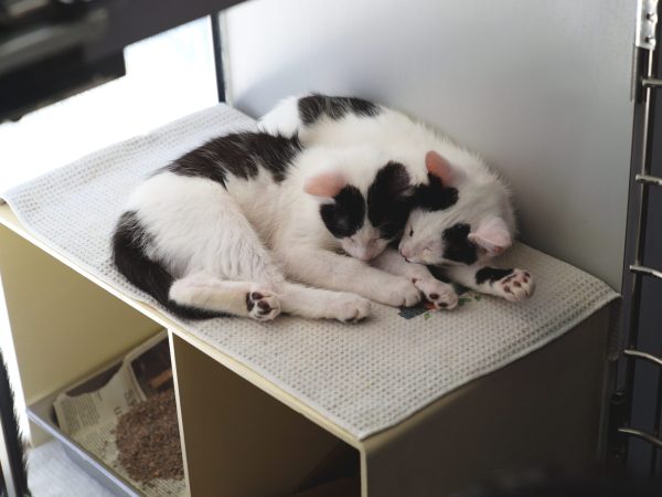 2026.04.04_BH_MACPhotos_14