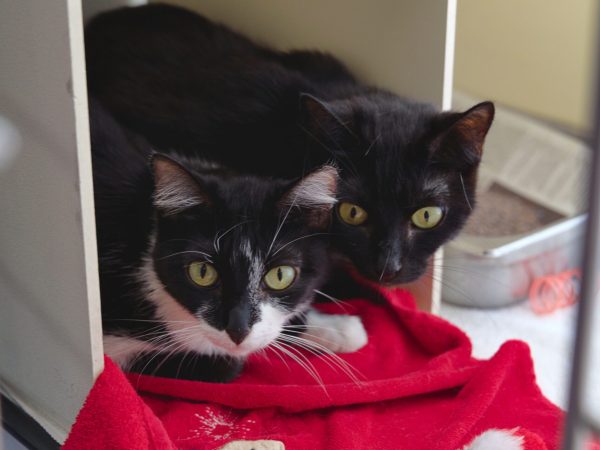 2026.04.04_BH_MACPhotos_16