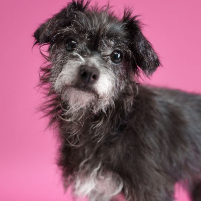 2026_03_11_Diamond_Silke-1