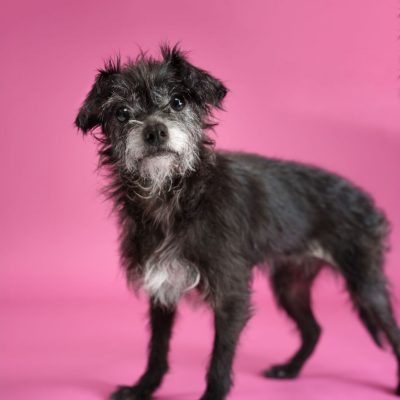 2026_03_11_Diamond_Silke-2