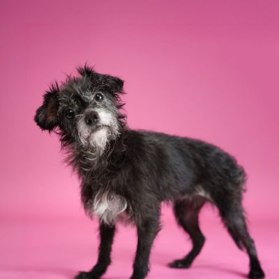 2026_03_11_Diamond_Silke-3