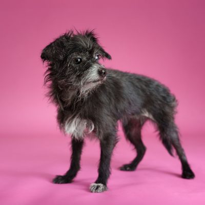 2026_03_11_Diamond_Silke-4