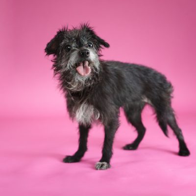 2026_03_11_Diamond_Silke-5