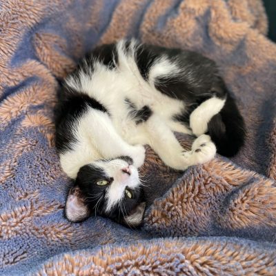 22A3423F-8A87-491E-9068-87258E559EA3