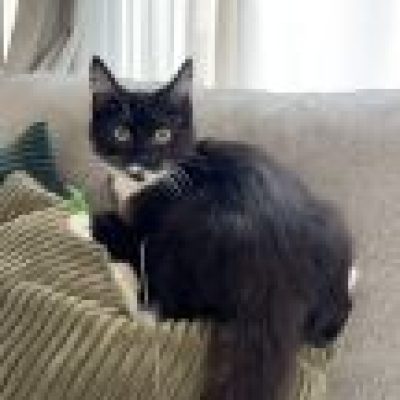 2C432FAF-BA3A-4B8C-AA6C-37473A53E026_4_5005_c