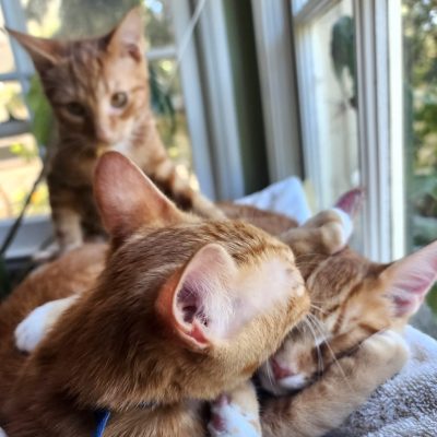 3 together